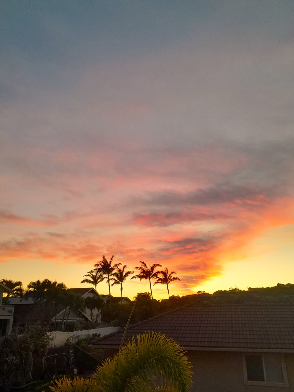 A Moment of&nbsp;Resurrection