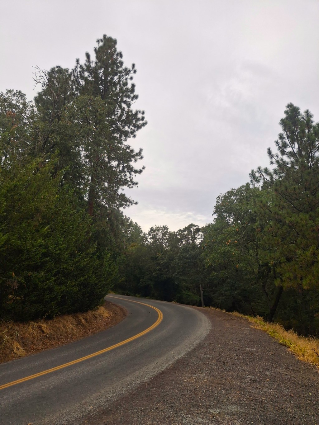 Our Path and&nbsp;Guide